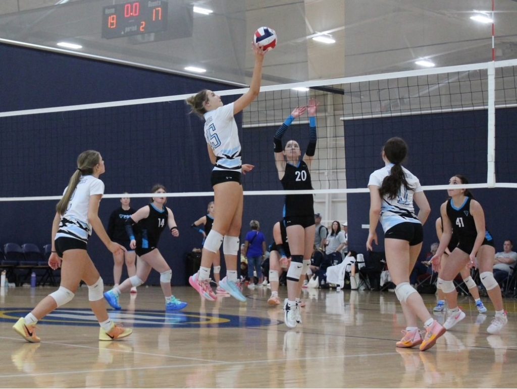 Love for the game